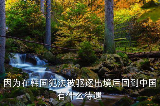 在國外犯罪逃回國有什么后果，逃犯持外國護照回國會怎樣