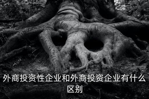 什么是投資性公司，外商投資性企業(yè)和外商投資企業(yè)有什么區(qū)別