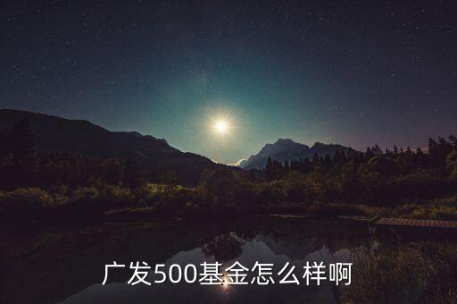 廣發(fā)500凈值為什么很低，廣發(fā)500基金怎么樣啊