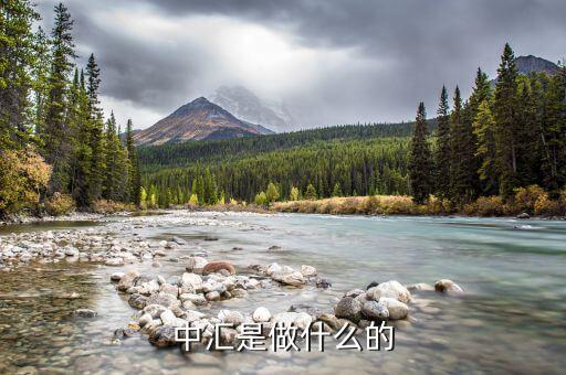 中匯事業(yè)發(fā)展部是什么，中匯集團 好像全國好多叫中匯的不是說集團公司名稱不能重復(fù)嗎