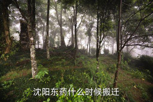 有沈陽東北制藥搬遷是什么時候嗎，沈陽東藥什么時候搬遷