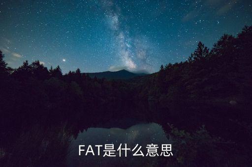 fatca指什么，F(xiàn)AT是什么意思