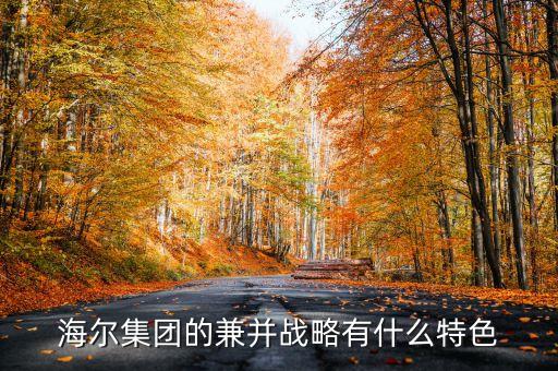 企業(yè)兼并的雙方有什么特征，企業(yè)兼并投資特點(diǎn)是