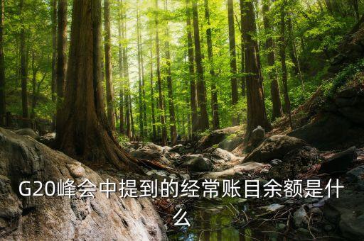 什么是經(jīng)常項(xiàng)目余額，經(jīng)常項(xiàng)目差額的什么是經(jīng)常項(xiàng)目差額