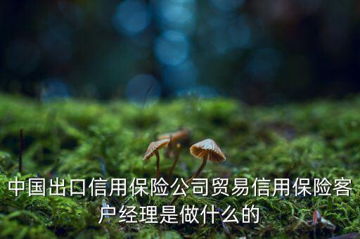 中信保客戶經(jīng)理干什么，中國出口信用保險公司貿(mào)易信用保險客戶經(jīng)理是做什么的