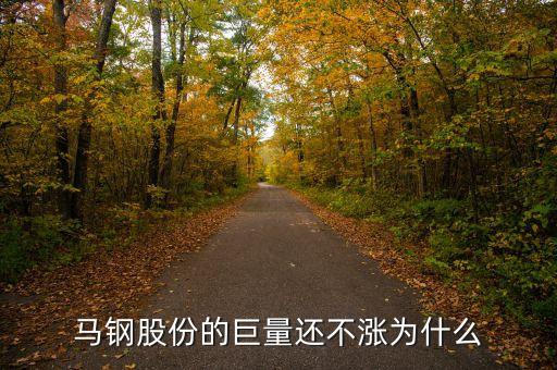 馬鋼集團(tuán)為什么還不倒，馬鋼集團(tuán)為什么沒(méi)排在世界500強(qiáng)中