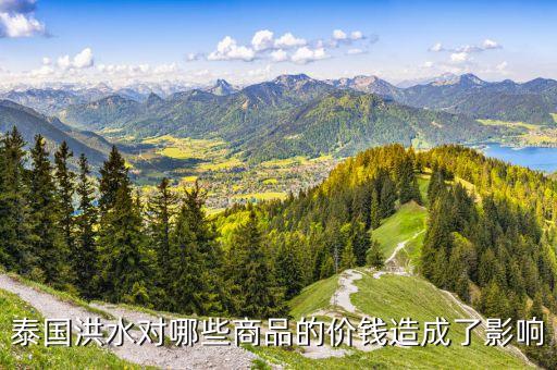 洪災(zāi)對(duì)什么價(jià)格有影響，洪災(zāi)對(duì)什么市場(chǎng)影響最大