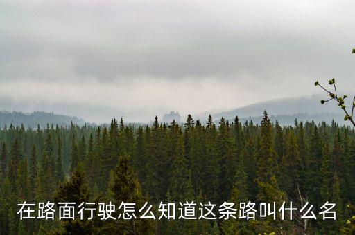什么叫路條，什么叫做條條道路通羅馬