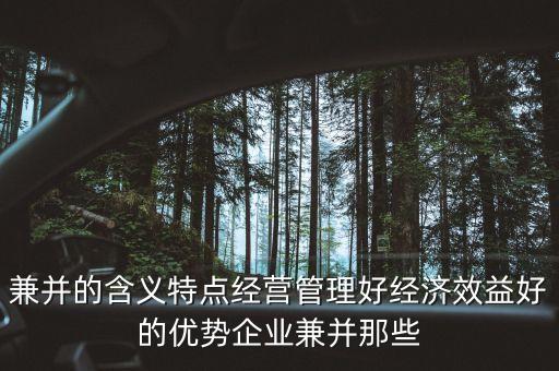 兼并的含義特點(diǎn)經(jīng)營管理好經(jīng)濟(jì)效益好的優(yōu)勢企業(yè)兼并那些