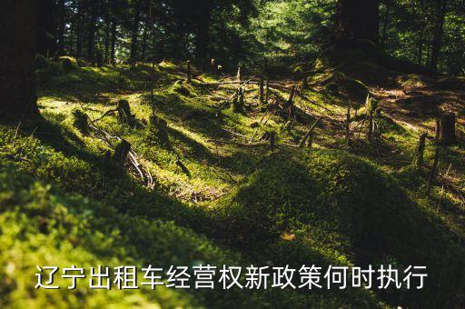 出租車新規(guī)什么時(shí)候出臺(tái)，全國有哪些地方放開出租車手續(xù)的管控了嗎