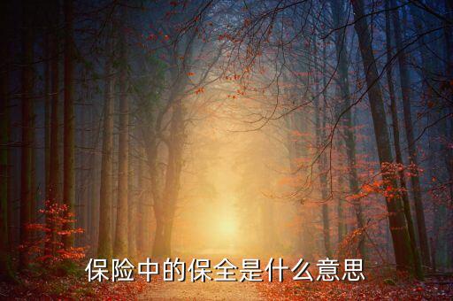 中國數(shù)據(jù)保全的意義是什么，保險中的保全是什么意思
