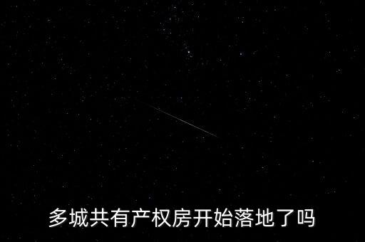 什么叫購(gòu)租并舉，山東省今年推行的租賃并舉是什么意思啊