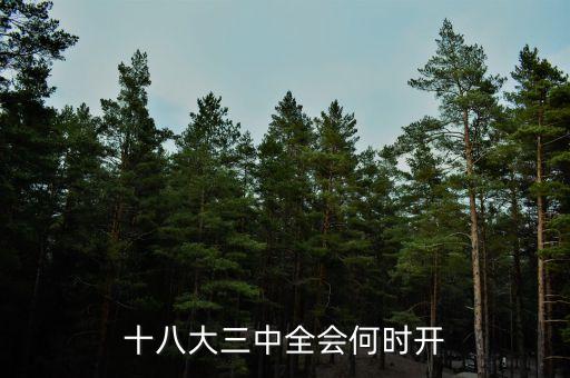 十八屆三中全會什么時候開，十八大三中全會何時開