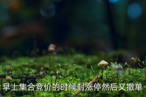 早上集合競價(jià)的時(shí)候封漲停然后又撤單