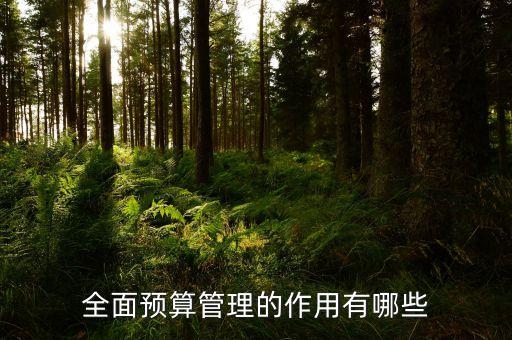 什么是預(yù)算管理，什么是預(yù)算控制
