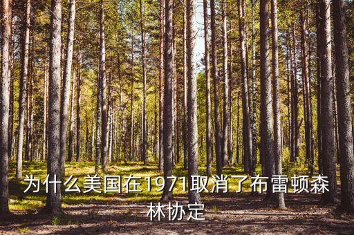 什么取代了布雷頓森林體系，布雷頓森林體系的產生說明了