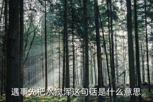 攪渾水什么意思，遇事先把水?dāng)嚋嗊@句話是什么意思