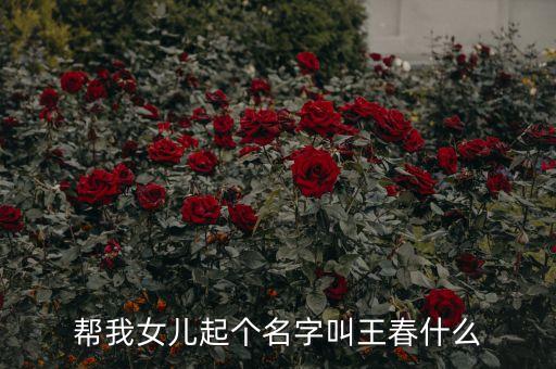 南通國資委王春是什么職務(wù)，幫我女兒起個名字叫王春什么