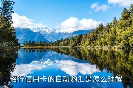 自動購匯轉(zhuǎn)出什么意思，什么是中國銀行信用卡的外幣自動購匯