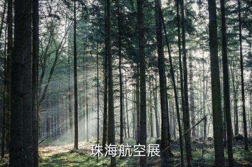 珠海航展公司是什么企業(yè)，珠海航空展