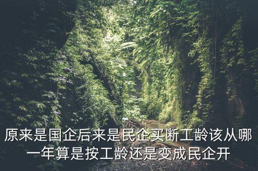 廣西貴糖什么時候變私企，廣西在什么時候開始變得落后起來的原因是