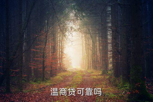 溫商貸是什么東西，溫商貸是真的嗎