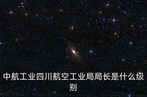 中航王斌什么級(jí)別，中航工業(yè)陜飛集團(tuán)董事長(zhǎng)是什么行政級(jí)別