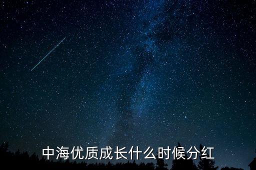 中海優(yōu)質成長什么時候分紅