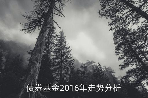 2016年的債券的投資的方向是什么，債券基金2016年走勢分析