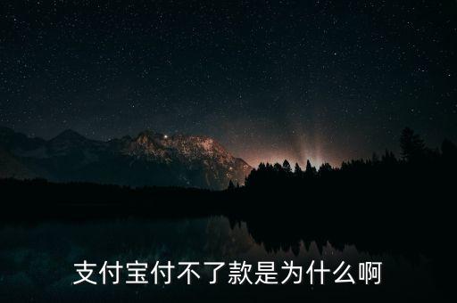 手機(jī)支付寶為什么不能付款，支付寶付不了款是為什么啊
