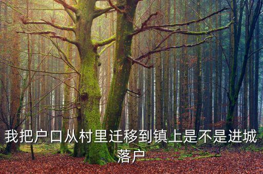 進(jìn)城落戶(hù)是什么意思，進(jìn)城務(wù)工人員隨遷子女是什么意思
