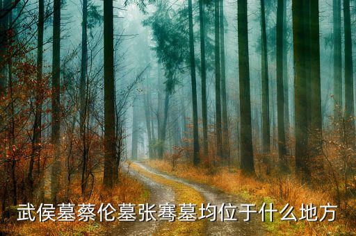 閩臺經濟樞紐發(fā)行什么股票，龍之崛起貿易站數量