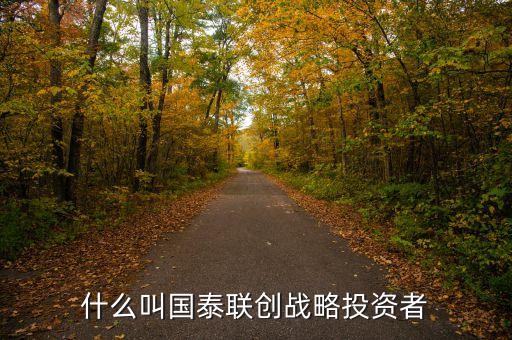 國航為什么選擇國泰作戰(zhàn)略投資者，什么叫國泰聯(lián)創(chuàng)戰(zhàn)略投資者