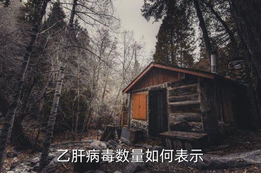 乙肝病毒20萬代表什么意思，乙肝DNA定量結(jié)果是100000是甚么意思