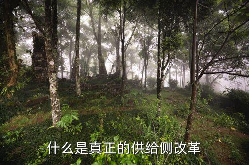 供給側(cè)改革的實質(zhì)是什么，如何理解供給側(cè)改革