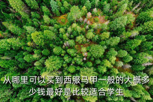 什么牌子賣(mài)西裝馬甲，什么牌子的西裝馬甲好