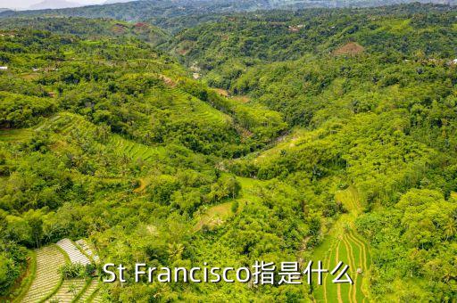 st戰(zhàn)略是什么，ST戰(zhàn)略是什么意思