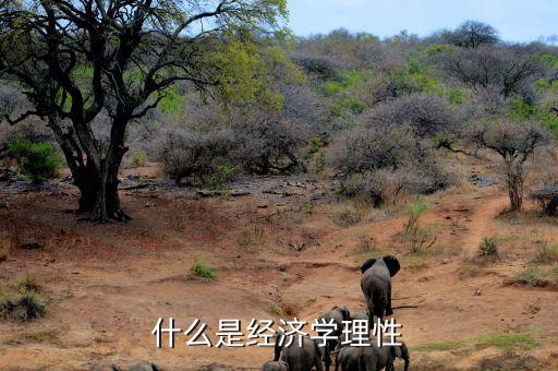 什么是市場理性，市場回歸理性是什么意思