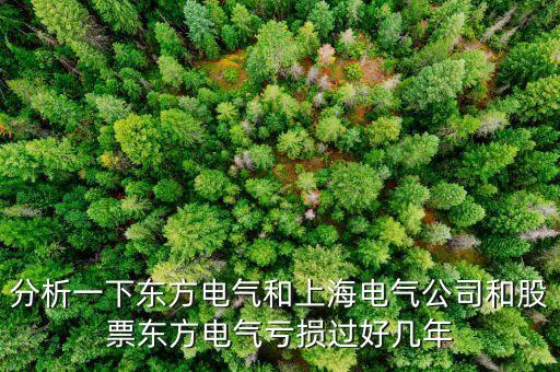 東方電氣為什么不漲，東方電氣這么好的公司為什么總是漲不上去漲不過(guò)別人呢