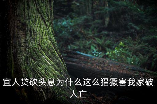 宜人貸為什么售罄，我的宜人貸為什么沒通過問題出在哪