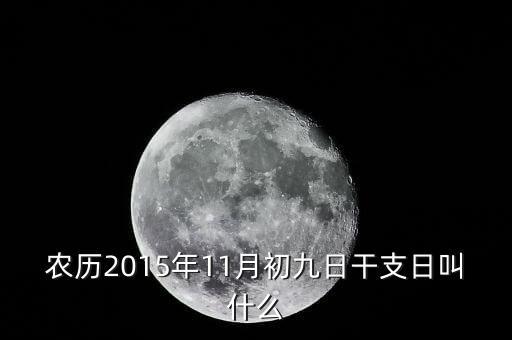 2015年11月9日易干什么，農歷2015年11月初九日干支日叫什么