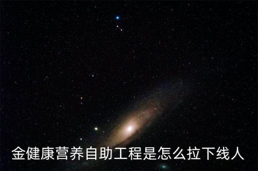 金健康是通過什么方式賺錢，金健康營養(yǎng)自助工程是怎么拉下線人
