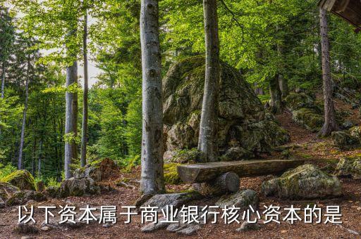 商業(yè)銀行核心資本是什么，商業(yè)銀行的核心資產(chǎn)包括哪些謝謝