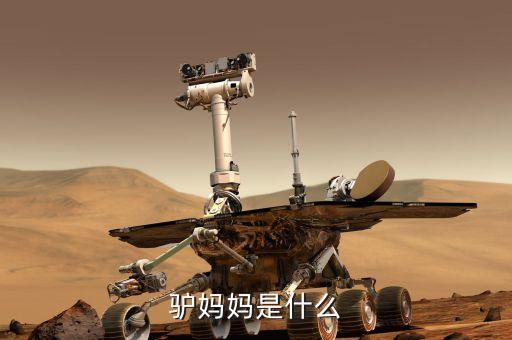 驢媽媽是什么模式，驢媽媽是什么