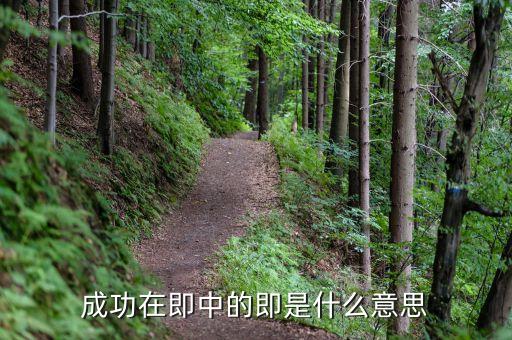 成功在即是什么意思，成功在即的即什么意思
