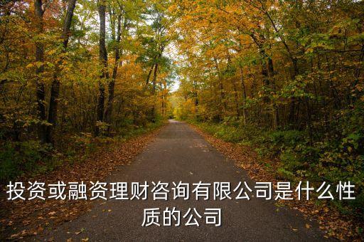 金融理財有限公司是什么性質的，投資或融資理財咨詢有限公司是什么性質的公司