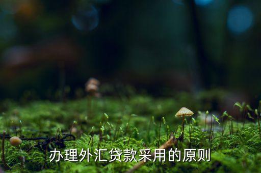 貸款三查指什么，銀行貸款三查不嚴能使貸款合同無效嗎