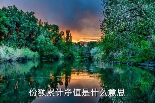 份額凈值是什么意思，基金份額凈值的基本定義