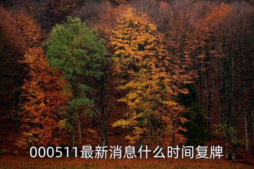天舟文化什么時(shí)候復(fù)盤，又問天舟什么時(shí)候復(fù)盤