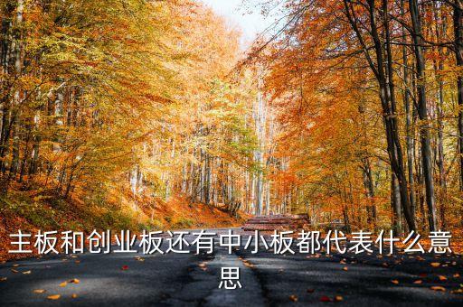 滬市主板是什么意思，什么是主板中小板和創(chuàng)業(yè)板它們都是干什么的請用白話簡短精